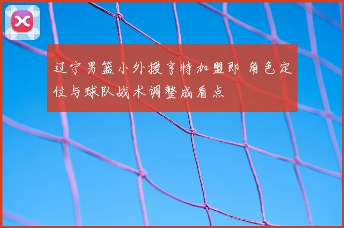 辽宁男篮小外援亨特加盟即 角色定位与球队战术调整成看点