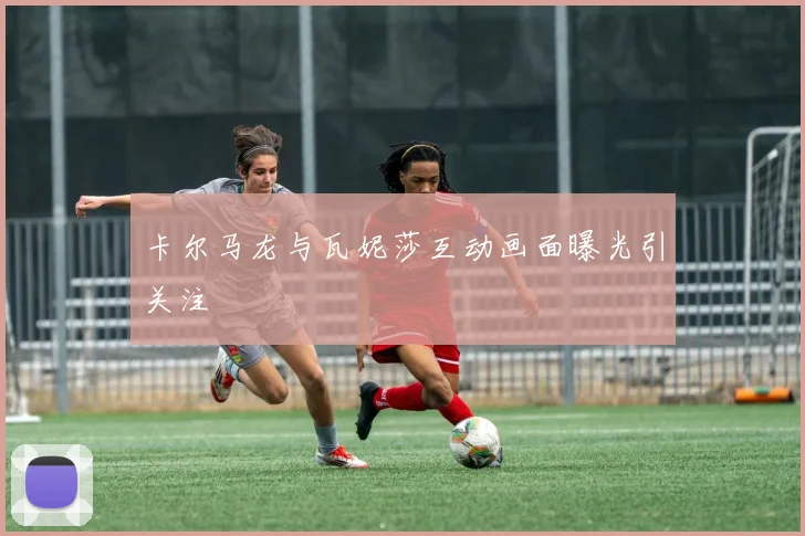 卡尔马龙与瓦妮莎互动画面曝光引关注