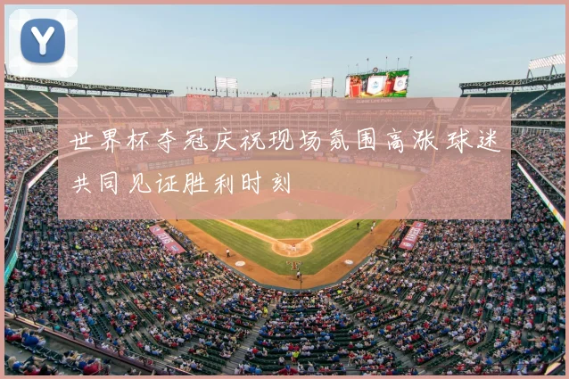 世界杯夺冠庆祝现场氛围高涨 球迷共同见证胜利时刻