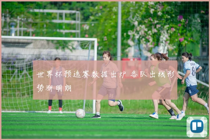 世界杯预选赛数据出炉 各队出线形势渐明朗